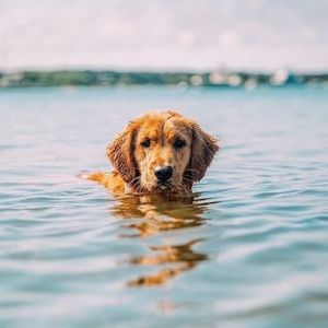 Meet your Posher, Karina